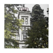 木々の間の聖域セラミックタイル タイル (正面)