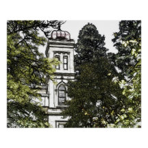 木々の間の聖域