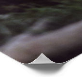 木々の間の鹿 ポスター (角)