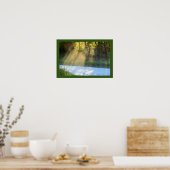 木々の間を日が照らす ポスター (キッチン)