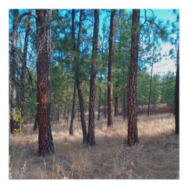 木々の間を歩く光沢のあるポスター ポスター