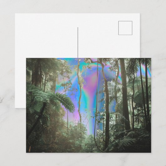 木々の間 ポストカード (正面/裏面)