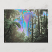 木々の間 ポストカード (正面)