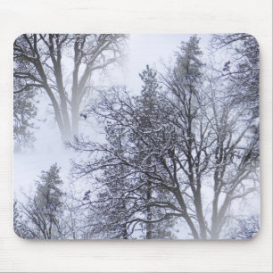 木々の雪の日… マウスパッド