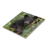 木々の黒い遊クマの仔 タイル (側面)