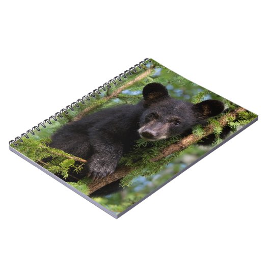 木々の黒い遊クマの仔 ノートブック (左側)