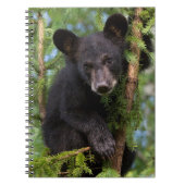 木々の黒い遊クマの仔 ノートブック (正面)