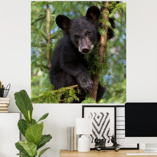 木々の黒い遊クマの仔 ポスター (ホームオフィス)