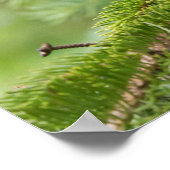 木々の黒い遊クマの仔 ポスター (角)