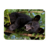 木々の黒い遊クマの仔 マグネット (横)