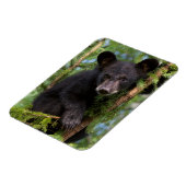 木々の黒い遊クマの仔 マグネット (左側)