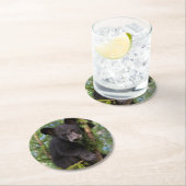 木々の黒い遊クマの仔 ラウンドペーパーコースター (インサイチュ)