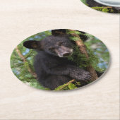木々の黒い遊クマの仔 ラウンドペーパーコースター (アングル)