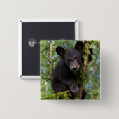 木々の黒い遊クマの仔 缶バッジ (正面&裏面)