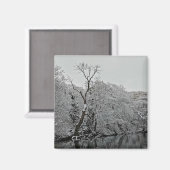 木々は水の上 マグネット (正面/裏面)