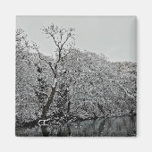 木々は水の上 マグネット (正面)