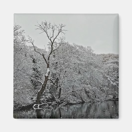 木々は水の上 マグネット (正面)