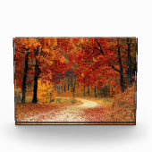 木々を抜ける秋の道 フォトブロック (正面)