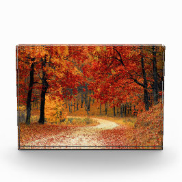 木々を抜ける秋の道 フォトブロック