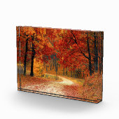 木々を抜ける秋の道 フォトブロック (右)