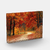 木々を抜ける秋の道 フォトブロック (左)