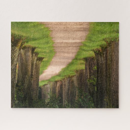 木々を抜ける美しい道 ジグソーパズル (横)