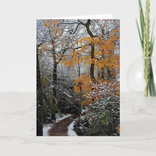 木々を抜ける道 カード (正面)