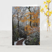 木々を抜ける道 カード (黄色い花)