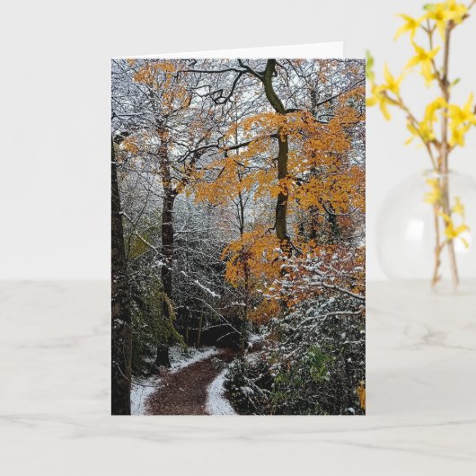 木々を抜ける道 カード (黄色い花)