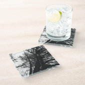 木々を見上げる ガラスコースター (アングル)