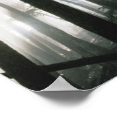 木々を通って流れるサンビーム、山レイニア ポスター (角)