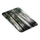 木々を通って流れるサンビーム、山レイニア マグネット (右側)