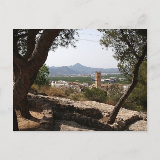 木々を通る窓。 ポストカード (正面)