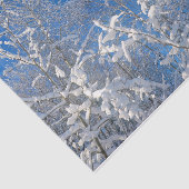 木々冬の雪が青い空景色を覆う 薄葉紙 (詳細)