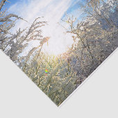 木々冬の雪が青い空雲を覆う景色 薄葉紙 (詳細)