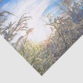 木々冬の雪が青い空雲を覆う景色 薄葉紙 (詳細)