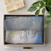 木々冬の雪が青い空雲を覆う景色 薄葉紙 (ギフト)