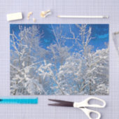 木々冬の雪の青空の景色を覆っ絵を描た 薄葉紙 (クラフト)