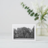 木々，ブートパーク，カーディフ 名刺 (スタンド正面)