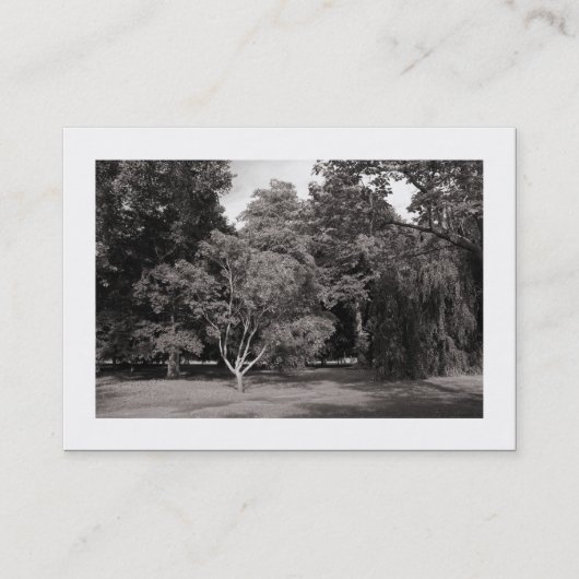 木々,ブートパーク,カーディフ – 暖かい縁どBW () 名刺 (正面)