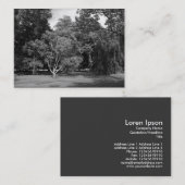 木々，ブートパーク，カーディフBW 名刺 (正面/裏面)