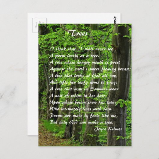 木々by: Joyce Klimer ポストカード (正面/裏面)