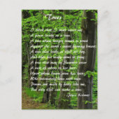 木々by: Joyce Klimer ポストカード (正面)