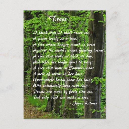 木々by: Joyce Klimer ポストカード (正面)