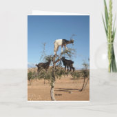 木おもしろいのヤギ カード (裏面)