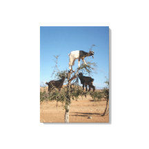 木おもしろいのヤギ