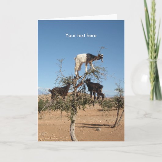 木おもしろいのヤギ シーズンカード (正面)