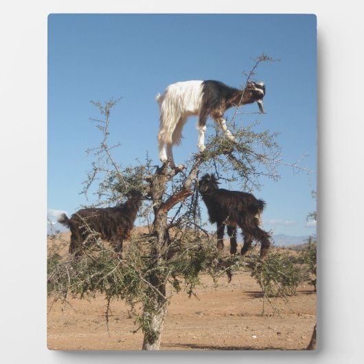 木おもしろいのヤギ フォトプラーク (正面)