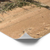 木おもしろいのヤギ ポスター (角)