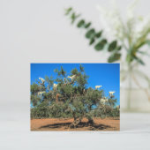 木おもしろいのヤギ ポストカード (スタンド正面)